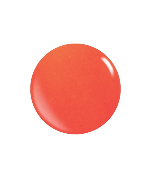 Cores Acrílicas Pigmentadas – Pó Durável e Resistente