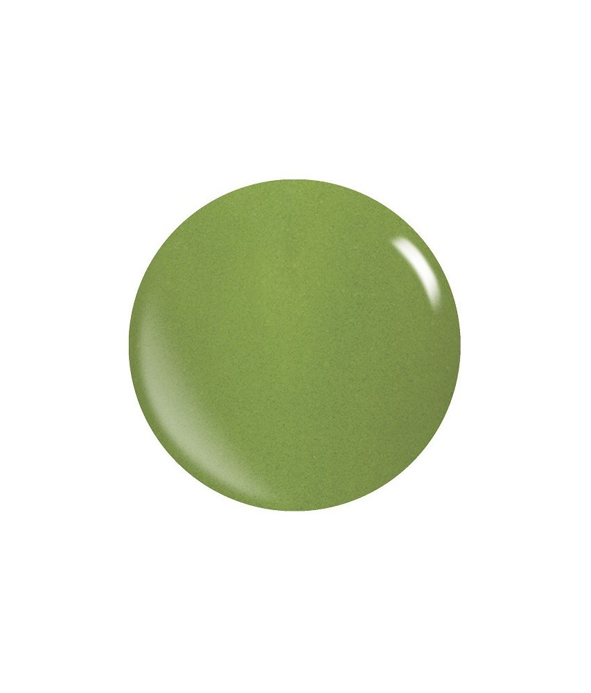 Colores Acrílicos Pigmentados – Polvos Duraderos y Resistentes