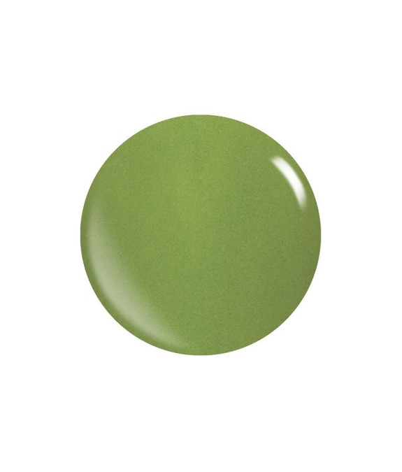 Colores Acrílicos Pigmentados – Polvos Duraderos y Resistentes