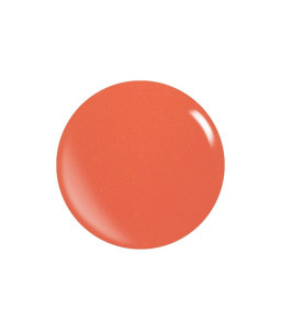 Cores Acrílicas Pigmentadas – Pó Durável e Resistente