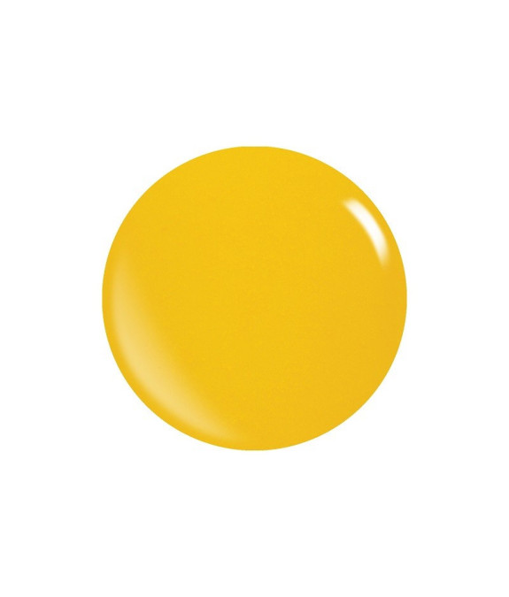 Colores Acrílicos Pigmentados – Polvos Duraderos y Resistentes