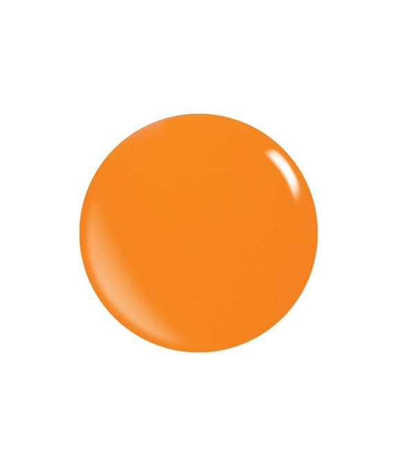 Colores Acrílicos Pigmentados – Polvos Duraderos y Resistentes