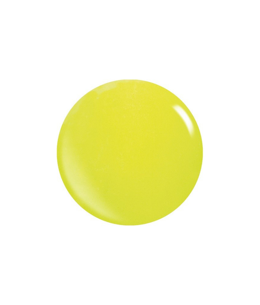 Colores Acrílicos Pigmentados – Polvos Duraderos y Resistentes