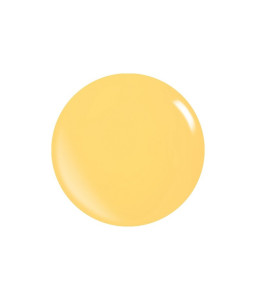 Fast-Setting Acrylic Powder – Creamy and Precise Application