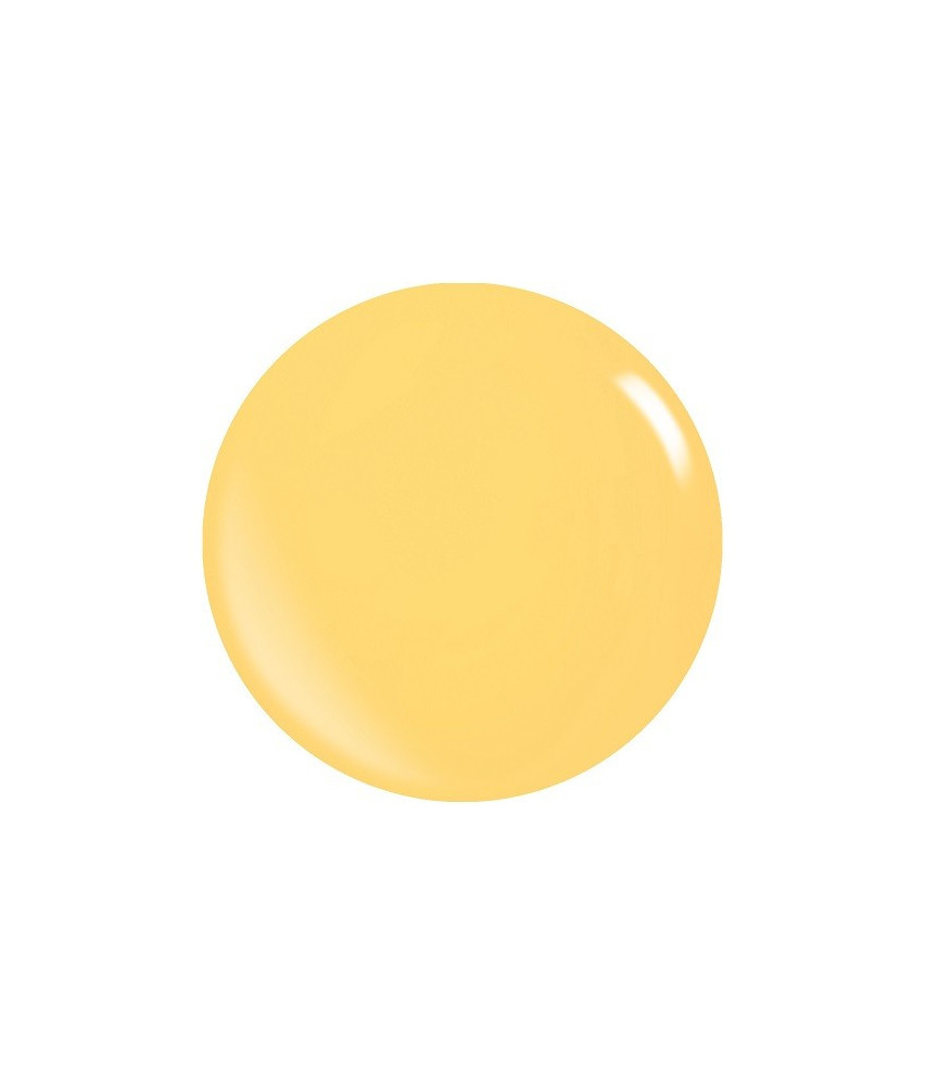 Colores Acrílicos Pigmentados – Polvos Duraderos y Resistentes
